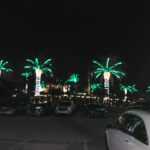 Commercial_Exterior_Holiday_Lights_3_Credit_State_Lighting_Company