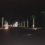 Commercial_Exterior_Holiday_Lights_4_Photo_Credit_State_Lighting