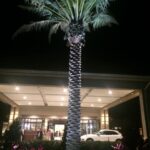 Commercial_Property_Exterior_Lighting_Photo_Credit_Frenchman_s_Creek