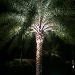 Commerical_Exterior_Landscape_Lighting_3_Photo_Credit_Frenchman_s_Creek